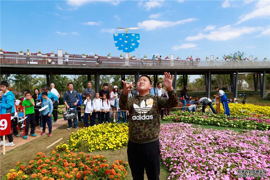 第十屆上海模型節精彩(圖12)