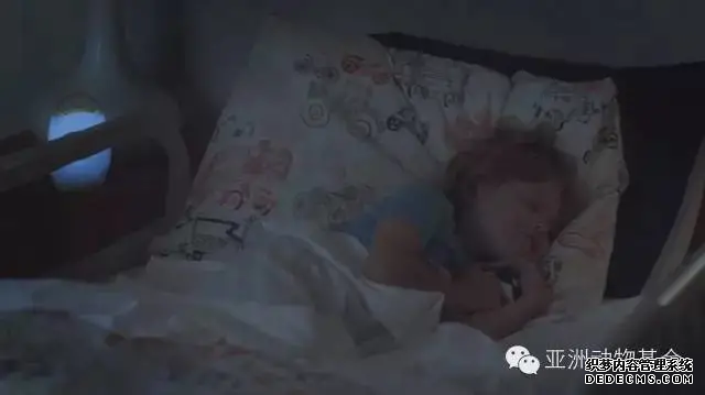 動物模型（xíng）公司下架暢銷十年的虎鯨（jīng）泡（pào）澡玩具，因(圖2)