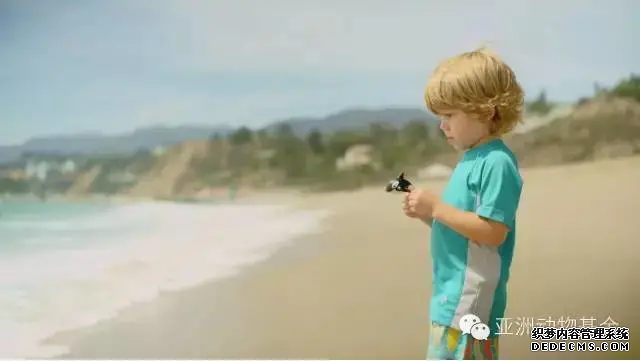 動物模型公司下架暢銷十年的（de）虎鯨泡澡玩具，因(圖7)