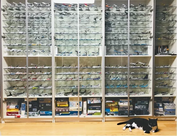 厲害了（le）！飛機模型收（shōu）藏者：我有兩千架飛機（jī）(圖1)