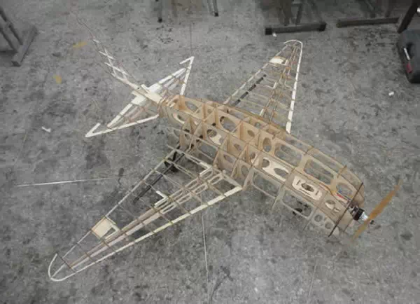 一度被認為是穿越鐵證的瑪雅飛機（jī）模型，被（bèi）中（zhōng）國(圖6)