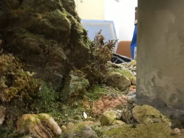 模型記錄：他們將模型場景定格在中國高鐵“複(圖14)