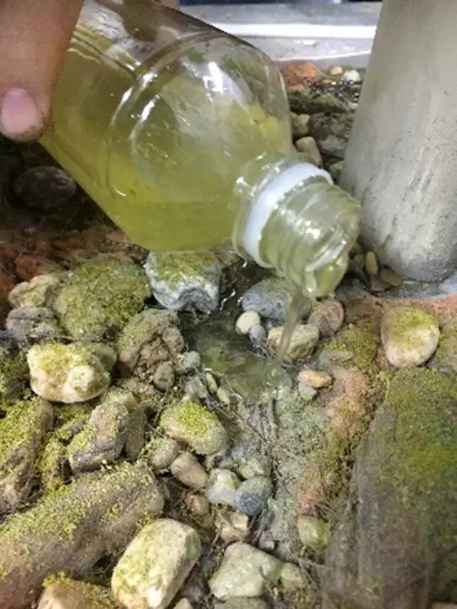 模型記錄：他們將模型場景定格在中國高鐵（tiě）“複(圖16)