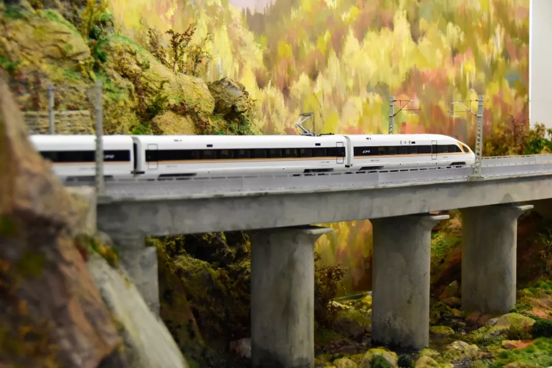 模型記錄：他們將模型場景定格在中（zhōng）國高鐵“複(圖18)