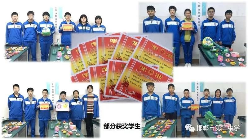 用細胞模型這把鑰匙（shí），打開生命奧秘之門（mén）--記三中(圖7)